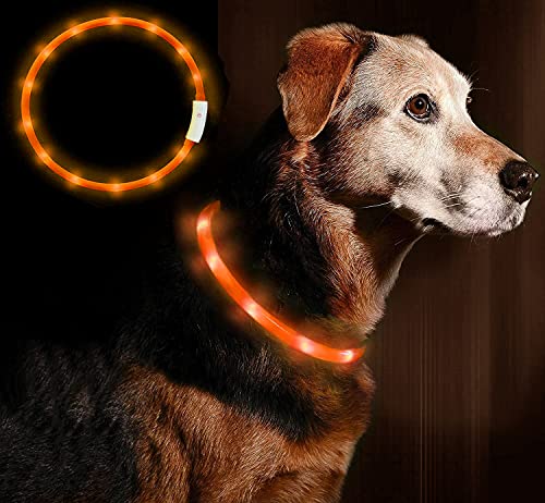 Die beste leuchthalsband hund anicoll led halsband usb wiederaufladbar Bestsleller kaufen