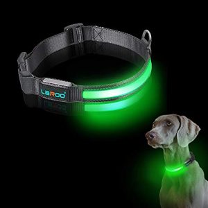 Leuchthalsband Hund LaRoo LED Haustier Leuchthalsband, Nylon