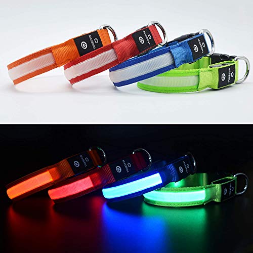 Leuchthalsband Hund MASBRILL Hundehalsband Leuchtend USB