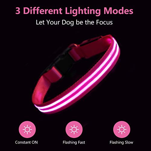 Leuchthalsband Hund PcEoTllar LED Hundehalsband USB