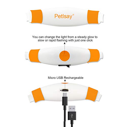 Leuchthalsband Hund PetIsay LED Halsband USB wiederaufladbar