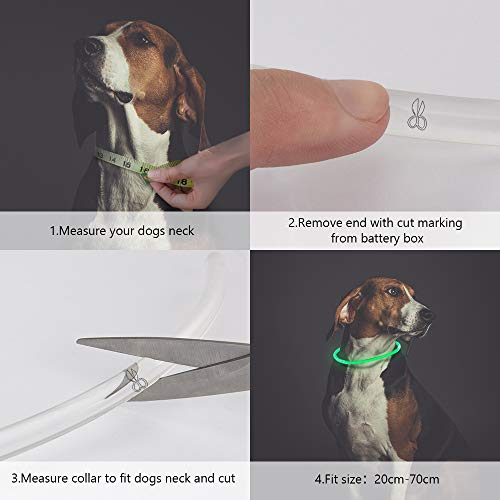 Leuchthalsband Hund PetIsay LED Halsband USB wiederaufladbar
