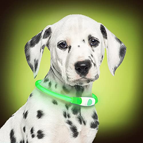 Leuchthalsband Hund PetSol LED Leuchthalsband, USB Aufladbar