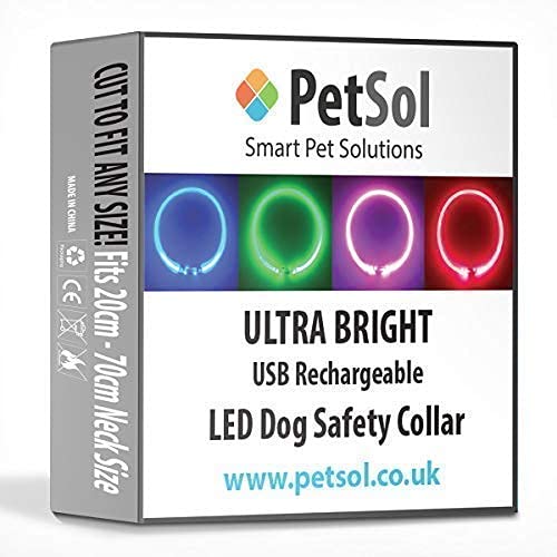 Leuchthalsband Hund PetSol LED Leuchthalsband, USB Aufladbar