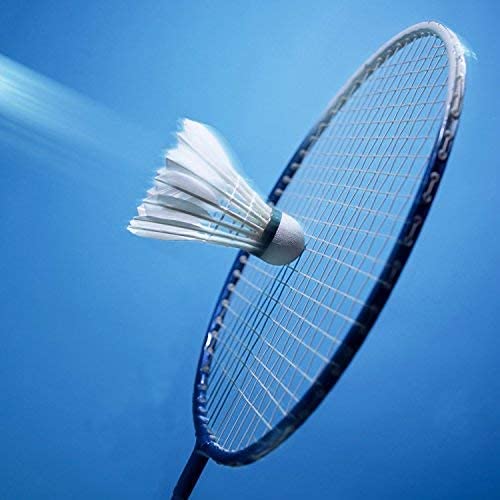 Naturfederbälle Philonext 12 Stück Gänsefeder Badminton Federbälle
