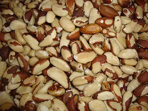 Paranüsse DORiMED Geschält | 1 kg, ohne Schale