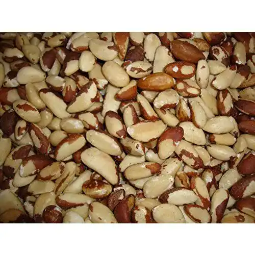 Paranüsse DORiMED Geschält | 1 kg, ohne Schale