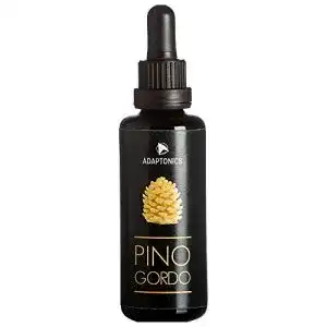 Pinienpollen Healing Garden Tenerife Pine Pollen Extrakt