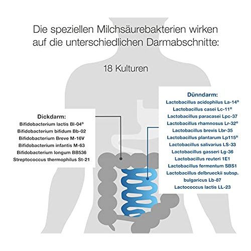 Probiotika Dr. Wolz Darmflora plus select intens, 80 Kapseln
