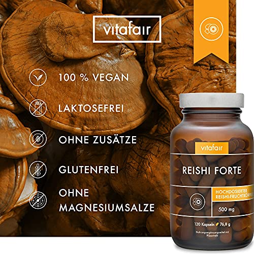 Reishi-Kapsel VITAFAIR 100% Vegan, 1000 mg Tagesdosis, 120 Kaps.