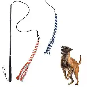 Die beste Reizangel (Hund) 2026 Test Bestseller Reizangel (Hund)