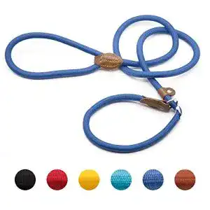 Retrieverleine