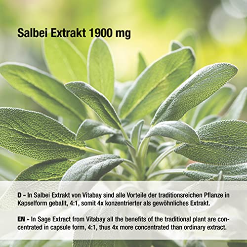 Salbei-Kapseln vitabay Salbei Extrakt (Salvia officinalis) 1900 mg