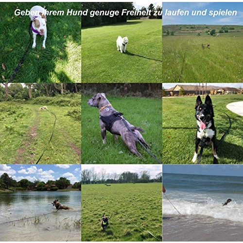 Schleppleine Fttouuy Hunde – 10m mit gepolsterten Griff