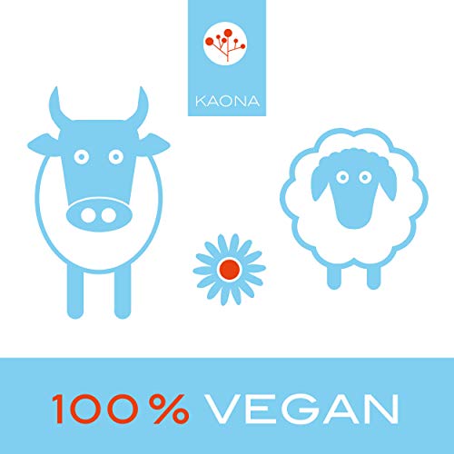 Tapiokastärke kaona (500g) – vegan und glutenfrei