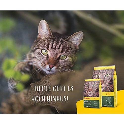 Trockenfutter Katze (getreidefrei) Josera NatureCat (1 x 2 kg)