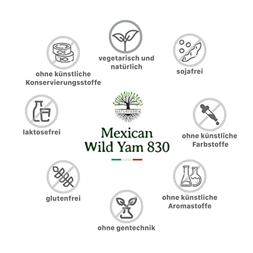 Yamswurzel-Kapseln NaturFabrik Mexican Wild Yam 830
