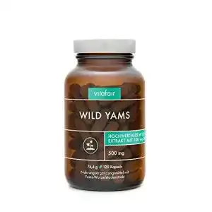 Yamswurzel VITAFAIR Hochdosiert (500mg pro Kapsel) 120 Kapseln