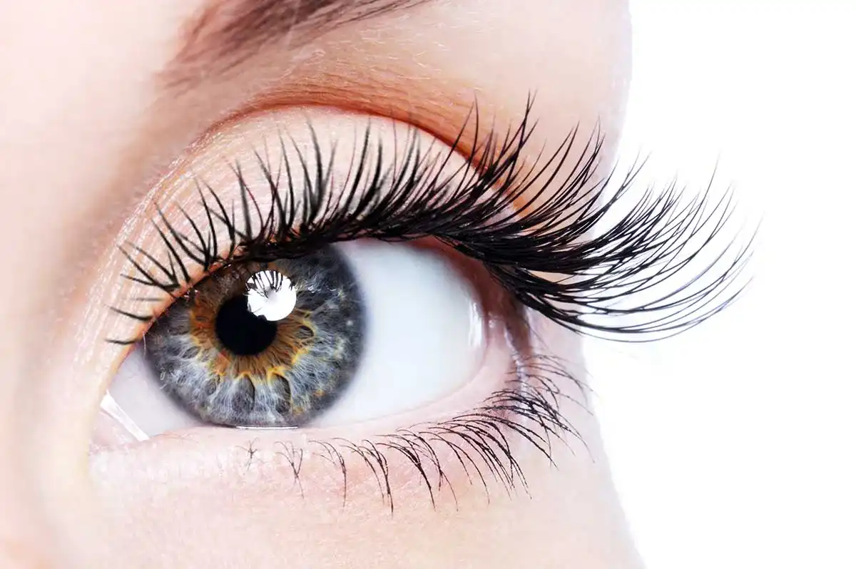 Beauty Female Eye With Curl Long False Eyelashes Wimpernserum Test