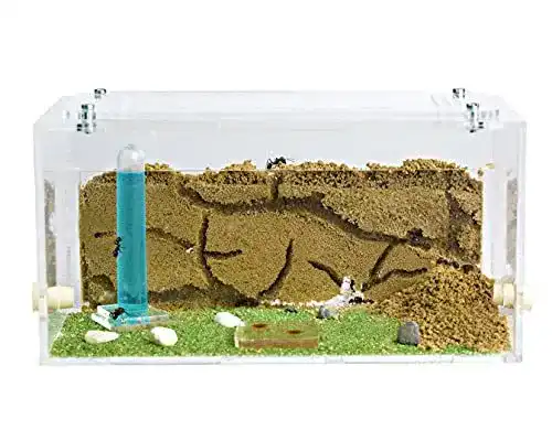 Ameisenfarm AntHouse, natürlich aus Sand, Acryl Starter Set