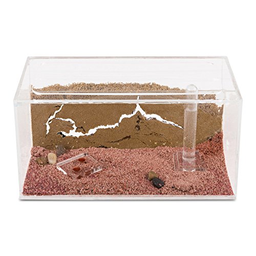 Ameisenfarm AntHouse, natürlich aus Sand, Acryl Starter Set