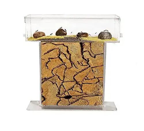 Ameisenfarm AntHouse, natürlich aus Sand, Acryl T Kit