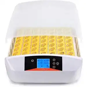 brutmaschine-homdox-56-eier-intelligentes-led-digital-inkubator