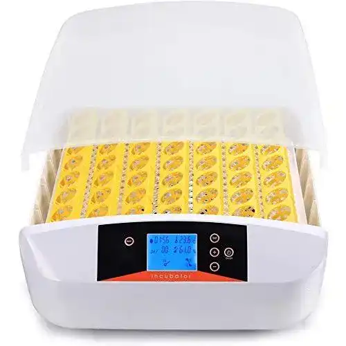 Brutmaschine Homdox 56 Eier Intelligentes LED digital Inkubator