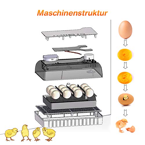 Brutmaschine Sailnovo Vollautomatisch Hühner Eier, 9-35 Eier