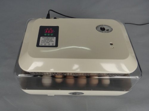 Die beste brutmaschine zjchao tm 24 eier huehner inkubator automatisch Bestsleller kaufen