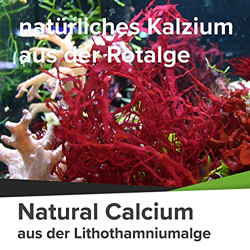 Calcium Surpresa Natural ® Natural, 180 hochdosierte Kapseln