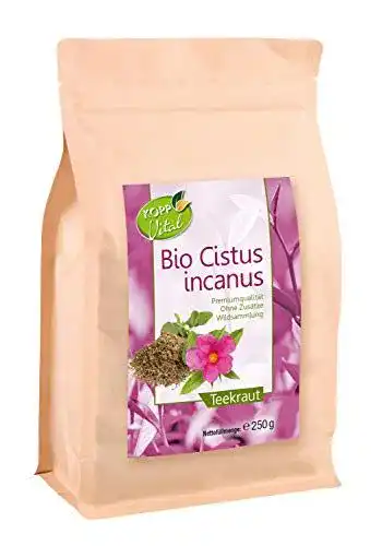 Cistus-Tee Kopp Vital Bio Cistus Tee, Cistus Incanus, ohne Zusätze