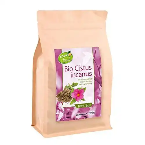 Cistus-Tee Kopp Vital Bio Cistus Tee, Cistus Incanus, ohne Zusätze