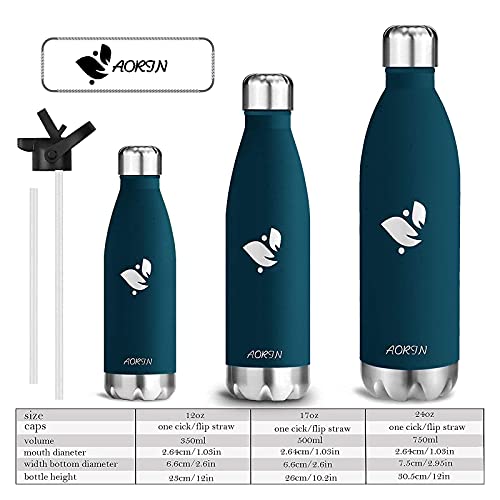 Edelstahl-Trinkflasche AORIN Vakuum-Isolierte Trinkflasche