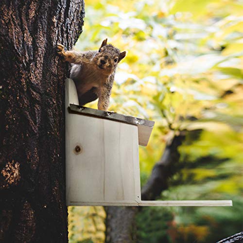 Eichhörnchen-Futterhaus Navaris, wetterfest aus Holz und Metall