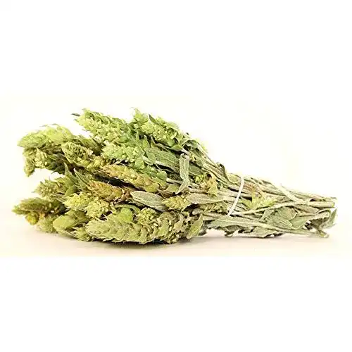 Griechischer Bergtee YouHerbIt Griechischer Gebirgstee, 1.5kg