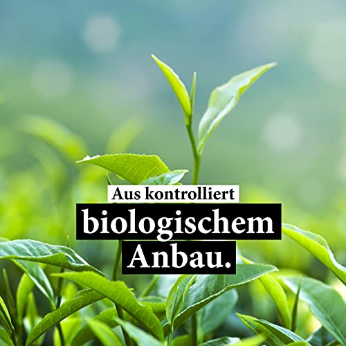 Grüntee Steinberger Bio Sencha fein-herb aromatisch, 250g
