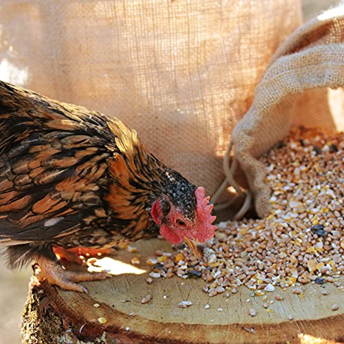 Hühnerfutter WachtelGold ChickenGold, 25kg, Körnermix