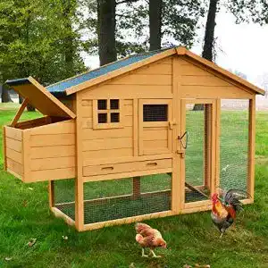 huehnerstall-zooprinz-hochwertige-huehnervoliere-mit-nistkasten