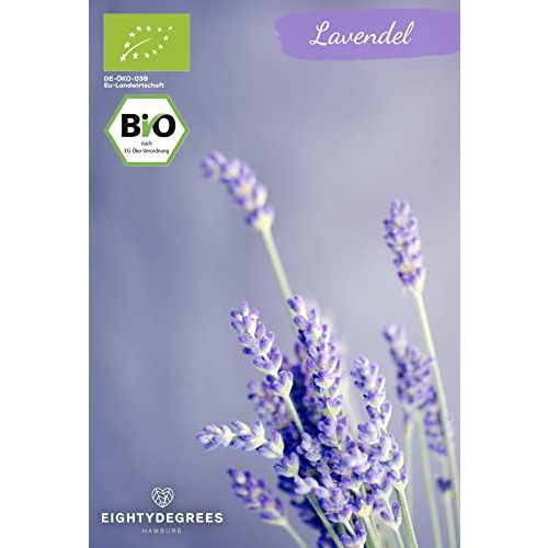 Lavendeltee 80DEGREES BIO Lavendelblüten, 500g