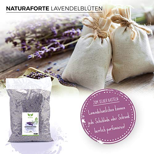 Lavendeltee NaturaForte Lavendelblüten 1kg
