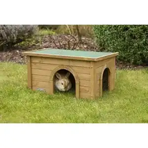Die beste Meerschweinchenhaus 2026 Test Bestseller Meerschweinchenhaus