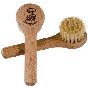 Pilzbürste SIDCO 2 x Champignonbürste mit Stiel