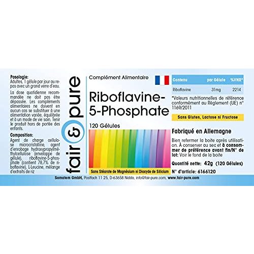 Riboflavin Fair & Pure -5-Phosphat, vegan, 120 Kapseln