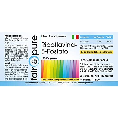 Riboflavin Fair & Pure -5-Phosphat, vegan, 120 Kapseln