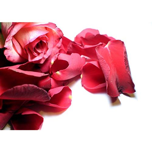 Rosenblütentee berryz Echte Rosenblätter getrocknet rot, 50g