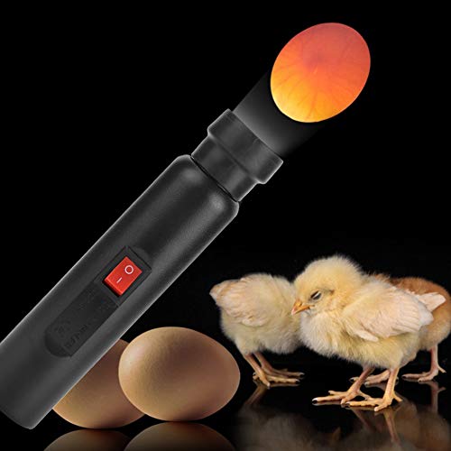 Schierlampe Fdit LED Nutztier Eier schieren Inkubatorlampe
