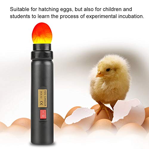 Schierlampe Fydun LED Light Egg Tester, Batteriebetriebenes LED
