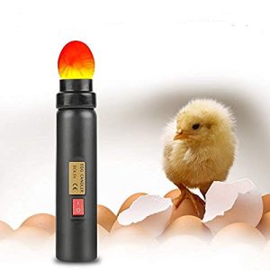 Schierlampe Qkiss LED Ei Candler, Eier Fruchtbarkeitsprüfer