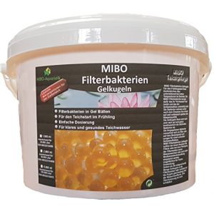 Teichbakterien MIBO-Aquaristik MIBO Filterbakterien 2.500 ml
